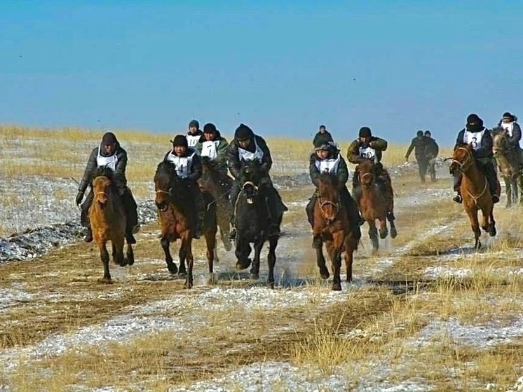 В Бурятии проходят скачки лошадей бурятской породы