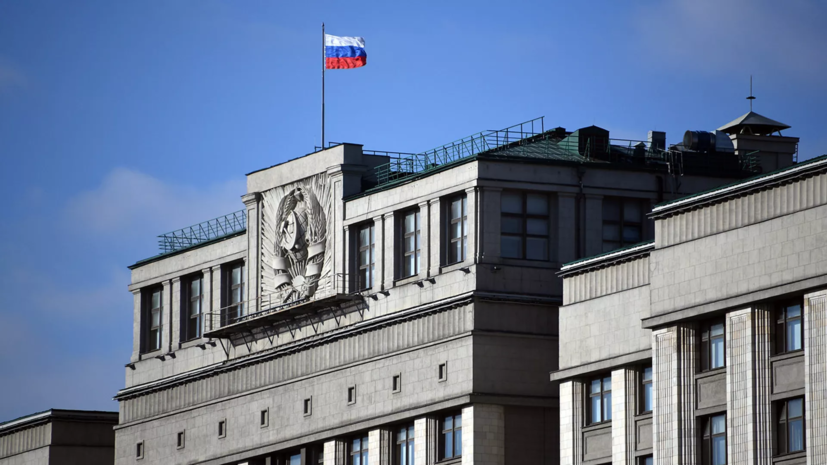 В ГД высказались об идее создать министерство по делам ветеранов боевых действий