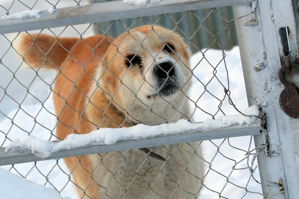 Без названия (2).png