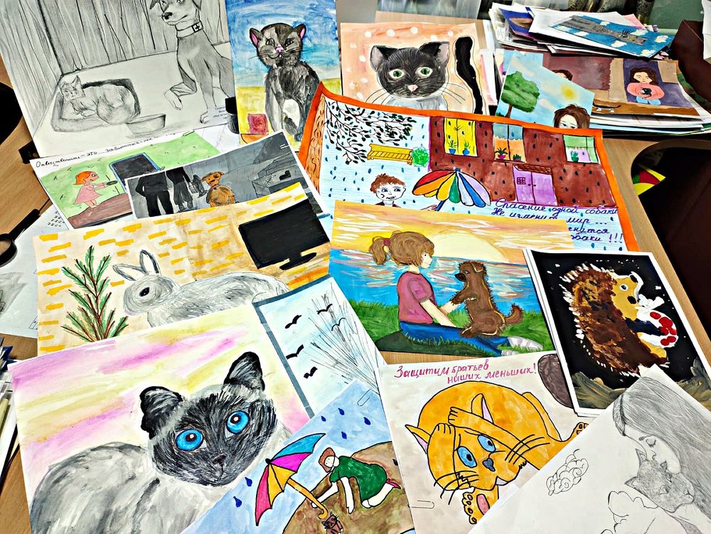 Конкурс рисунков мой питомец моя ответственность. Мой питомец рисунки детей. Мой питомец моя ответственность рисунок. Конкурс рисунков мой питомец моя ответственность. Конкурс рисунков мой питомец моя ответственность.