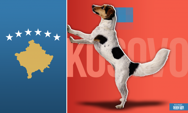Косово или Хвост виляет собакой