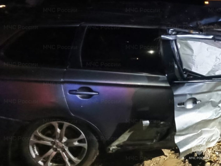 Под Тарусой в полночь Mitsubishi оказался в кювете