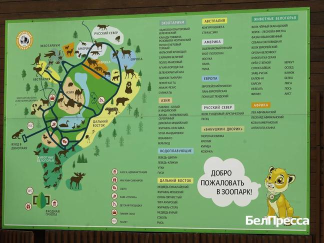 Как отдохнуть белгородцам 14–16 ноября - Изображение 1