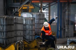 Курганские депутаты владеют заводами и фермерскими предприятиями