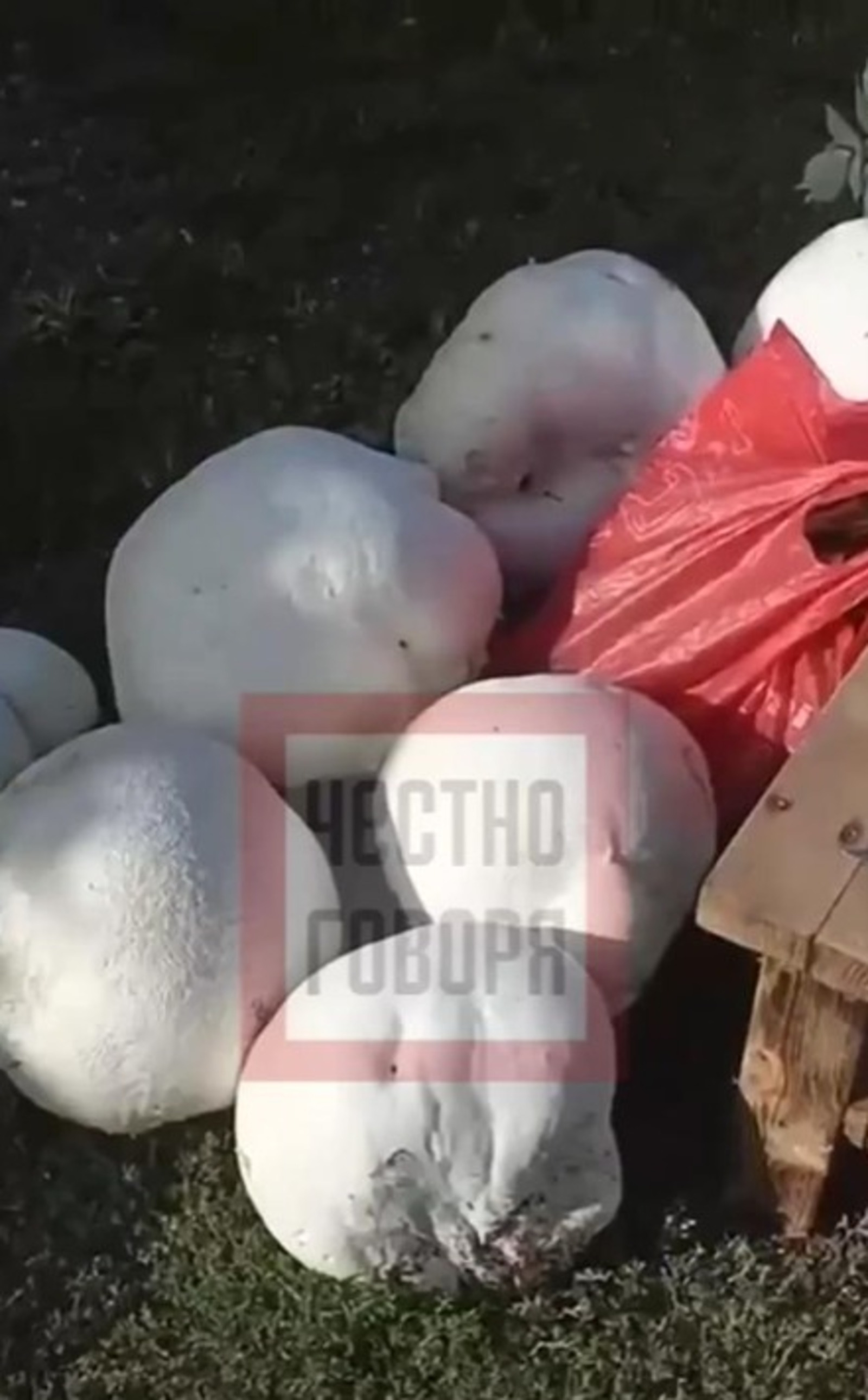 Телеграмм в башкирии