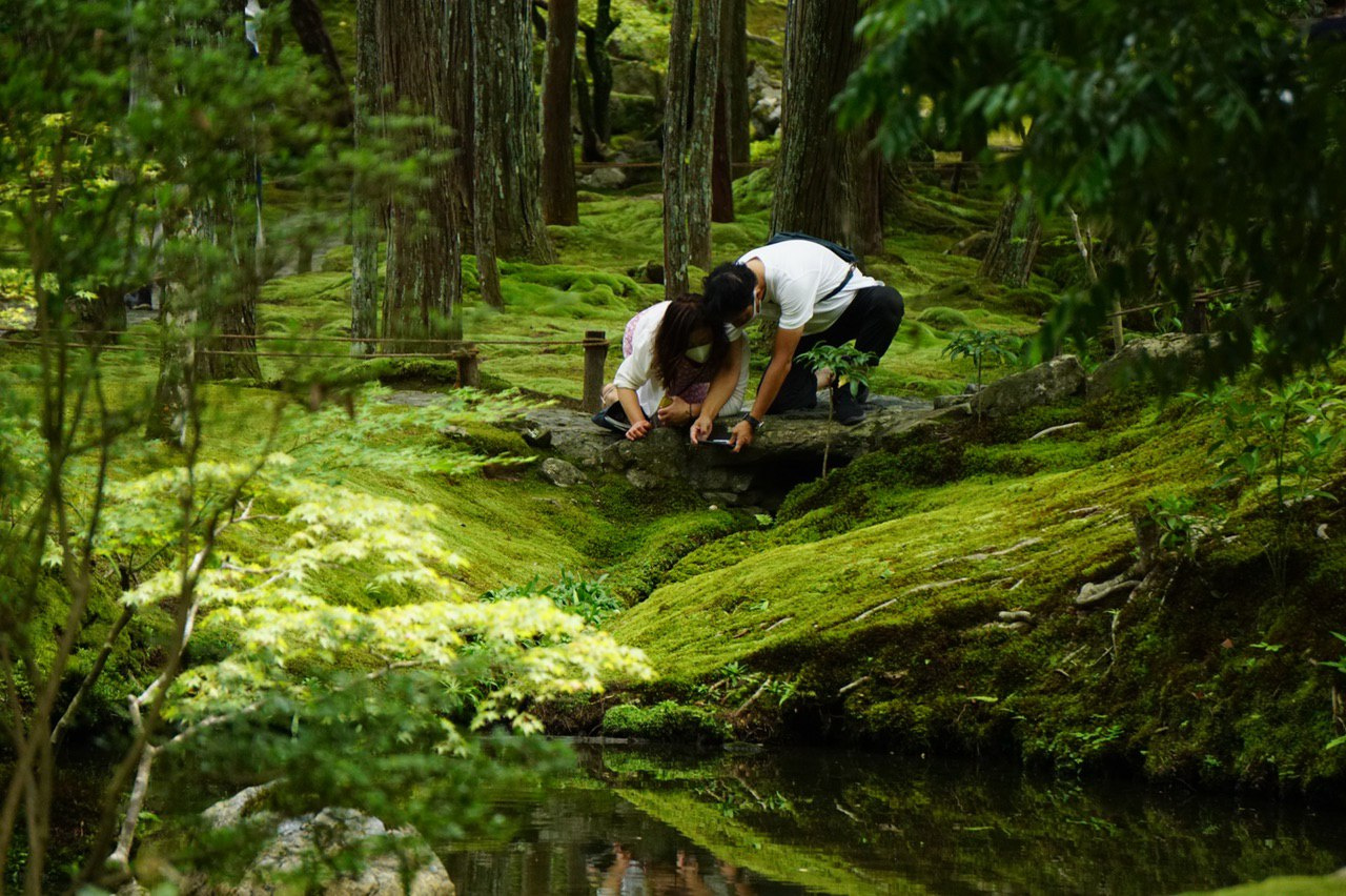 А вот любовь к природе и созерцанию в Японии действительно есть — и это легко объяснить: парки здесь действительно очень красивые