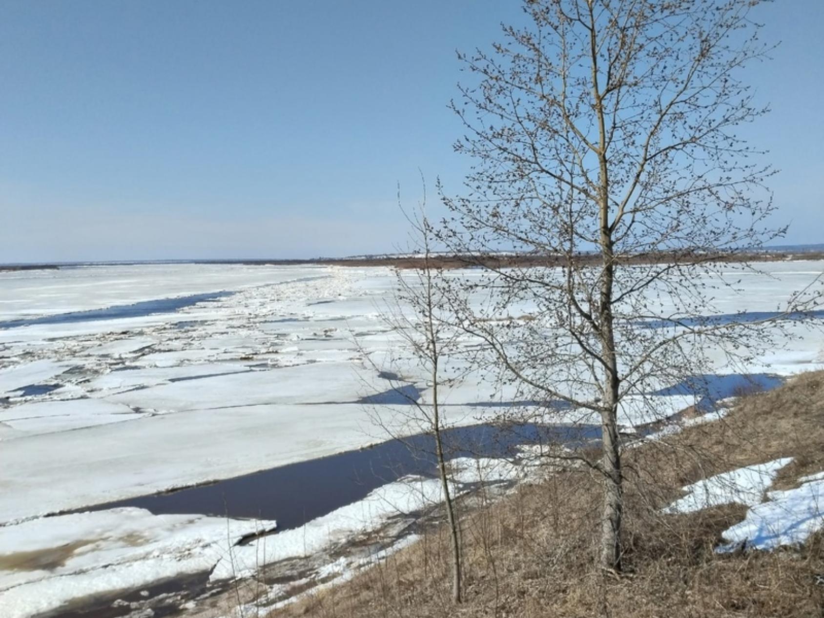 мост через кузнечиху в архангельске