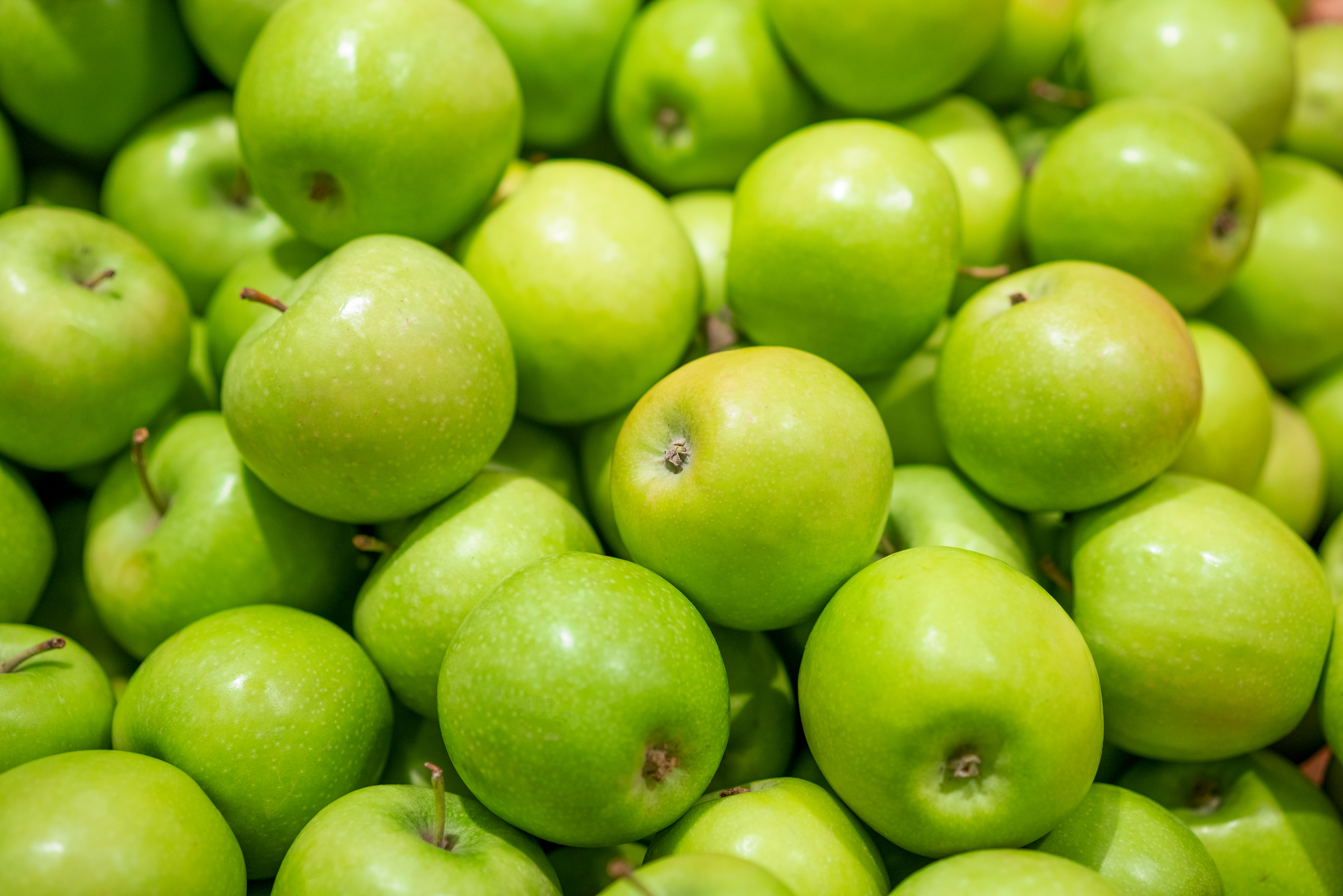 Fresh apple. Яблоки зеленые сорта. Много зеленых яблок. Яблоки свежие. Яблоко на зеленом фоне.