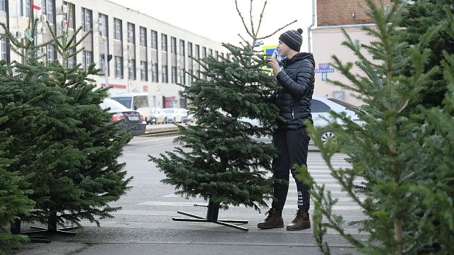 Фото: телеканал «Краснодар»
