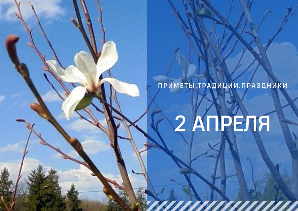 Приметы 2 апреля: что нужно сделать на Фотинью Колодезницу, чтобы сохранить красоту и здоровье