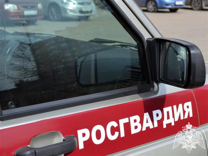 Сотрудники Росгвардии задержали жительницу Нижегородскрой области, устроившую дебош в баре