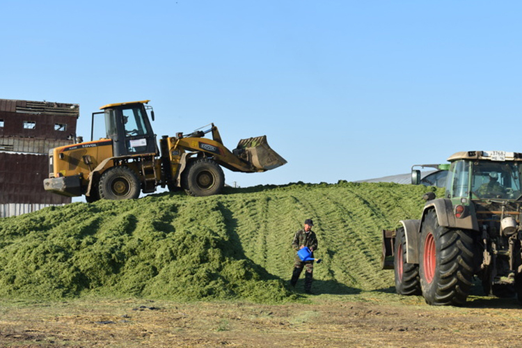 Даже несмотря на самую высокую в РТ зарплату в агропромышленном комплексе, в хозяйстве Мухаметшина остро стоит кадровый вопрос