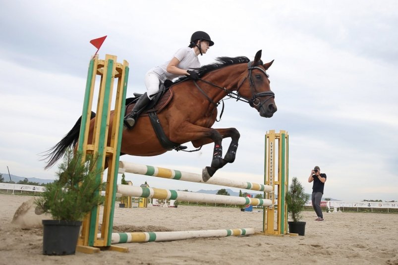 Более 50 всадников сразились за Кубок ВЭФ-2025 по конкуру на Сахалине пресс-служба министерства спорта Сахалинской области