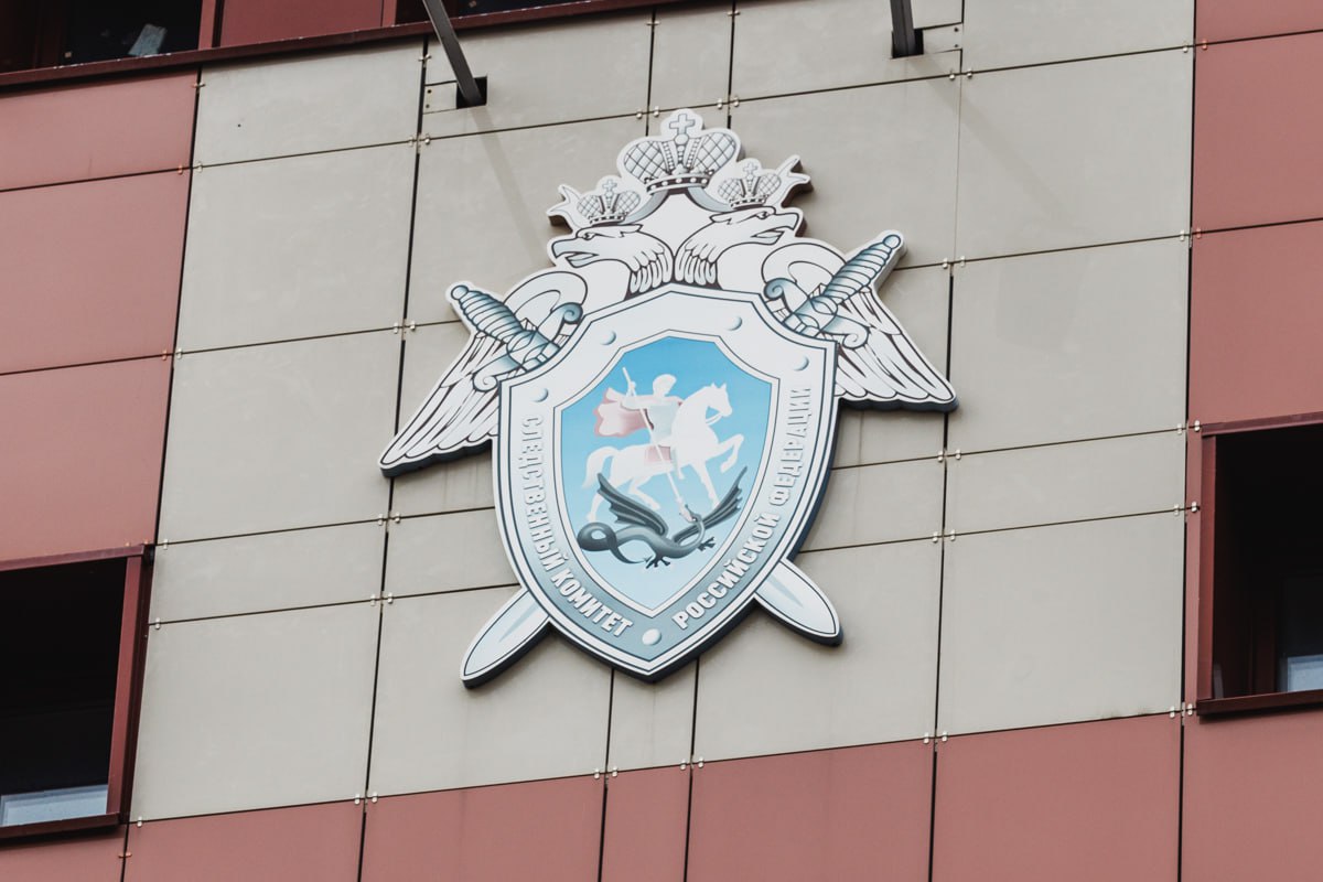 Бастрыкин взял на контроль дело о насилии над третьеклассником в Челябинске*