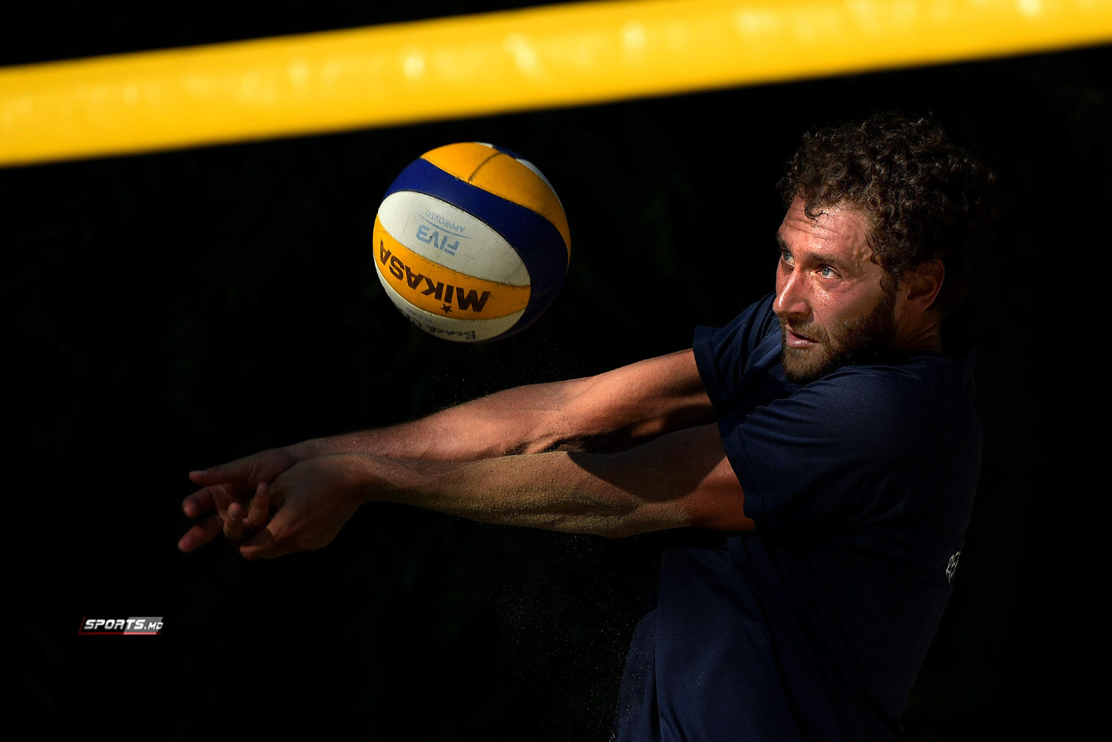 National champions. Гамильтон (новая зеландия). Crazy stone игра. Фейз клан мажор 2022. Champion go.