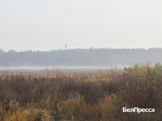 Вячеслав Гладков провёл совещание по вопросу строительства президентской школы - Изображение 2