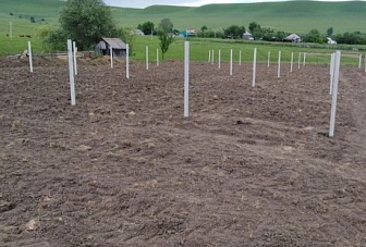 В Карачаево-Черкесии участниками программы по закладке мини-садов стали 315 личных подсобных хозяйств