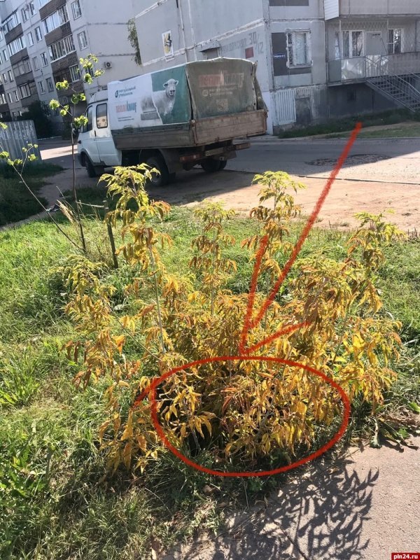 Закрыли ветку