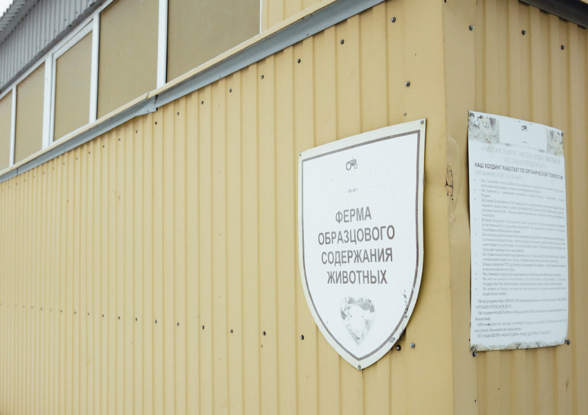 «Ферма образцового содержания животных»