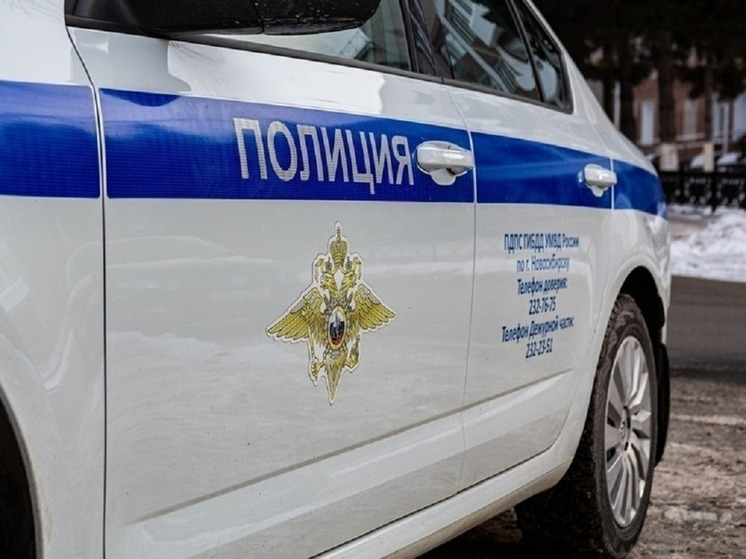 В Новосибирске 9-летний мальчик терроризирует округу и держит в страхе детей