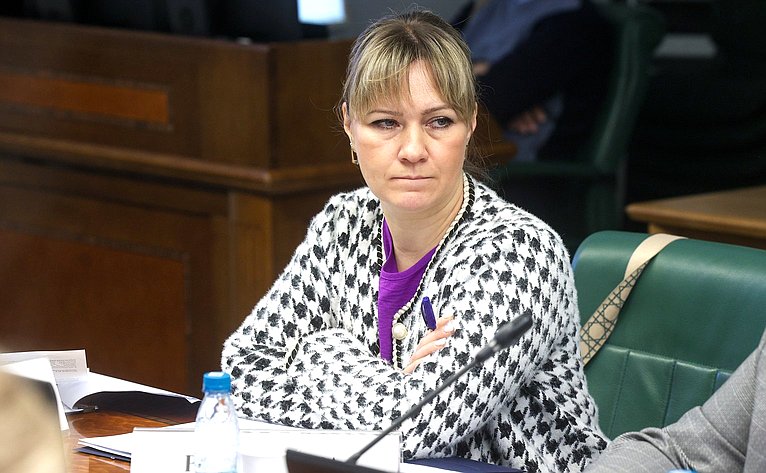 Заседание Комитета Совета Федерации по социальной политике