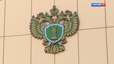 Прокуратура Ижемского района выявила факт мошенничества при заключении социального контракта
