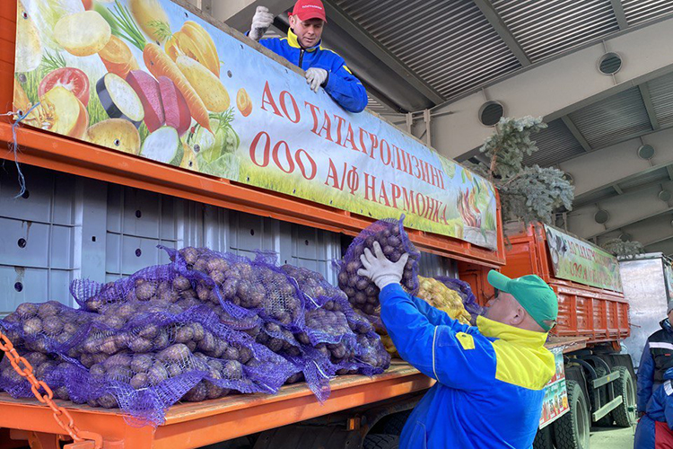 Еще один успешный кейс Азата Ильдусовича — восстановление «огорода» Казани — овощеводческого хозяйства «Нармонка» в Лаишевском районе, апгрейдом которого «Татагролизинг» занимался с 2017 года