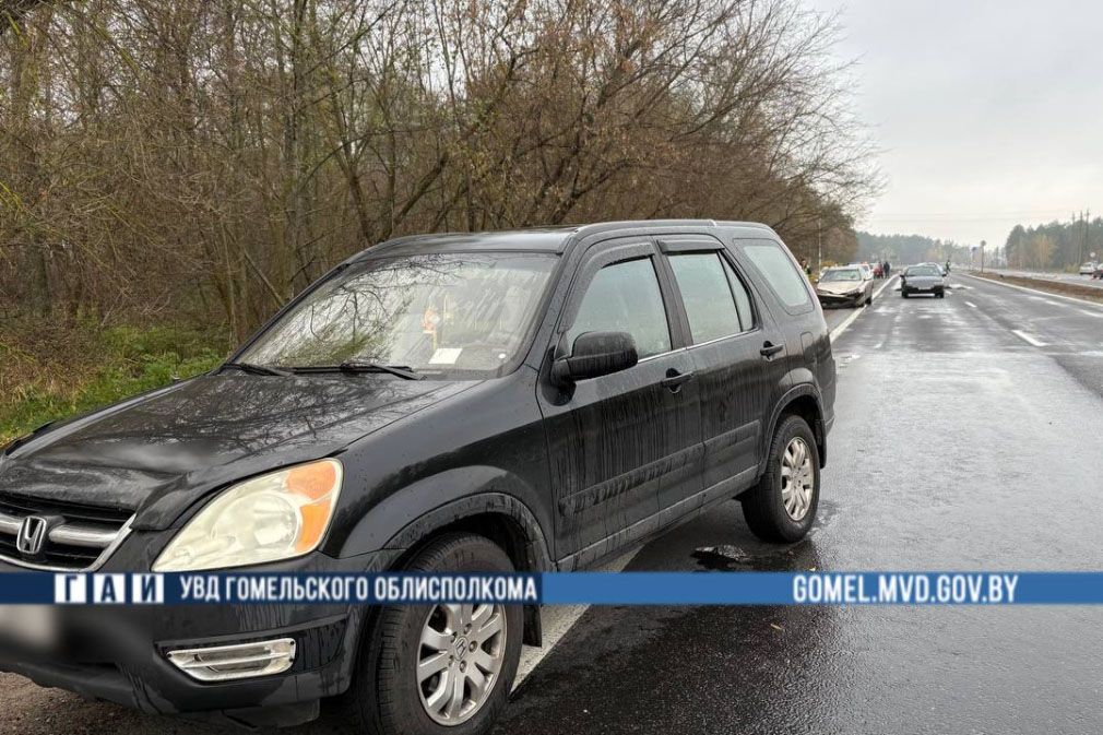 Сначала Renault, потом Honda. Под Гомелем в ДТП погибла пенсионерка