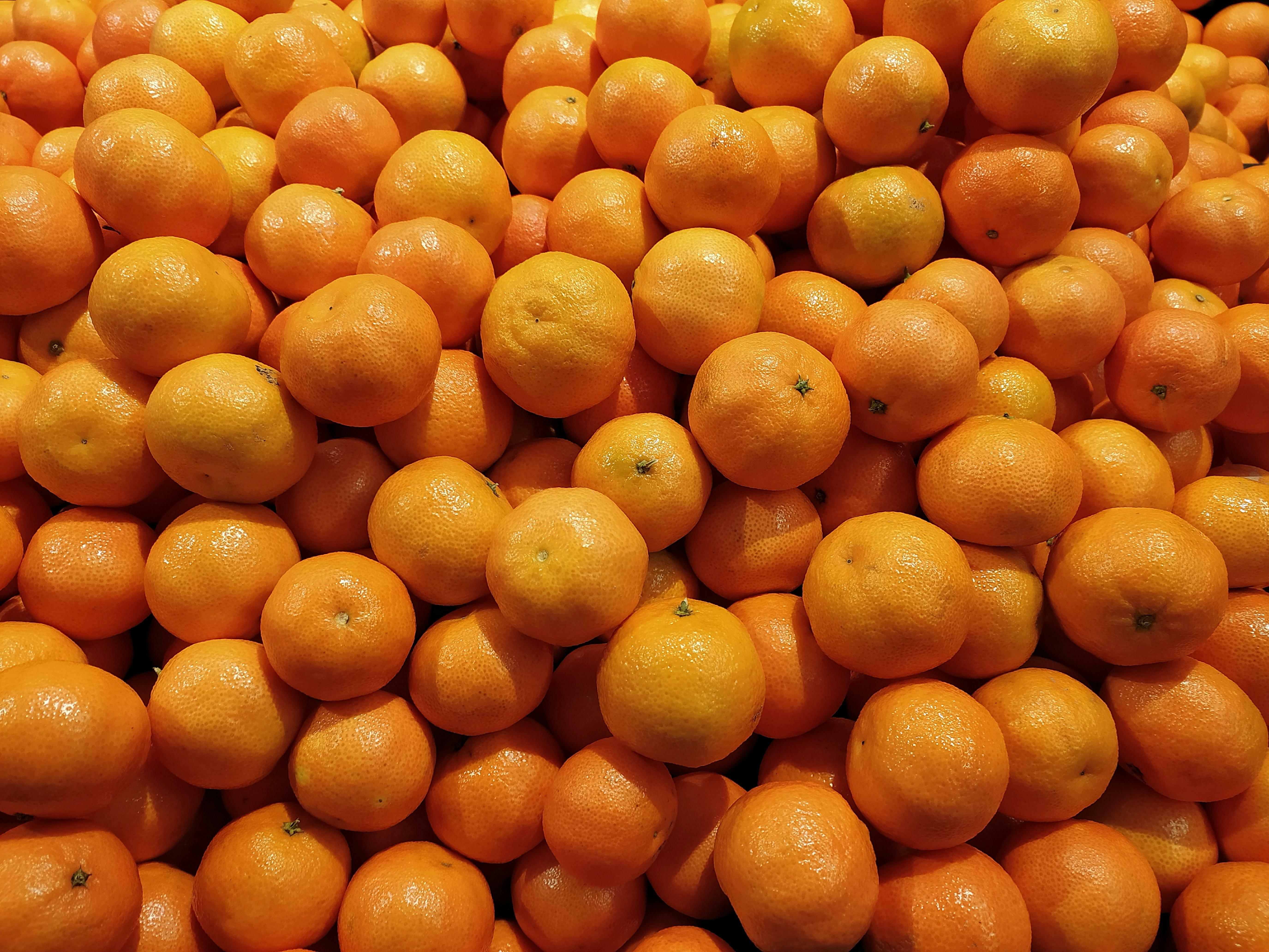 Как называются скрещенные мандарины. Гибрид помело и апельсина. Лимон скрещенный с апельсином. Гибрид лимона и мандарина. Танжело минеола мандарин.