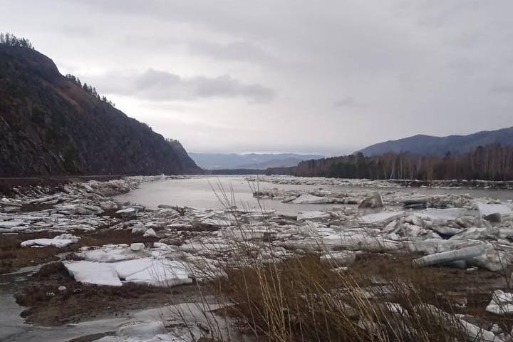 В Хакасии река Абакан освободилась от ледового плена 