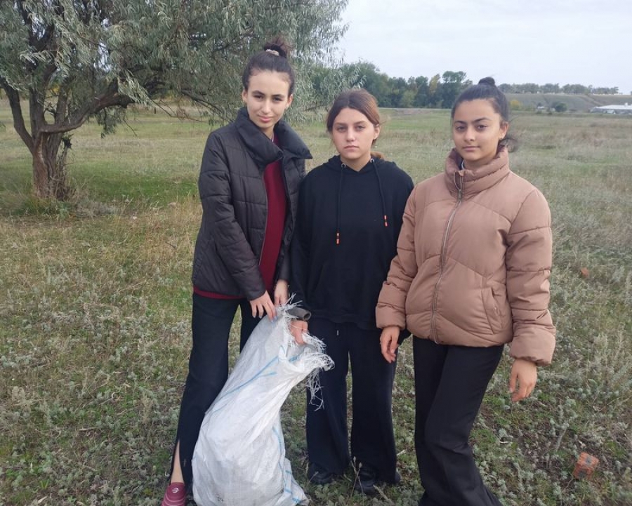 Погода в мизино лапшиновка татищевского