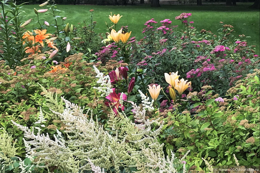 От Аничкова сада до улицы Росси