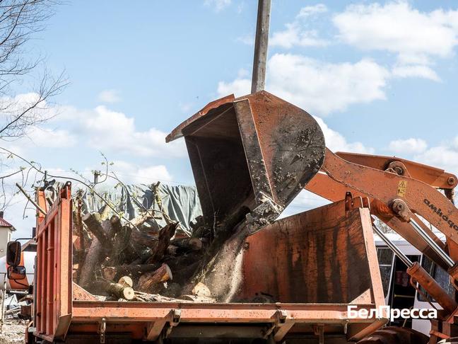 52 несанкционированные свалки выявили в Белгородской области за 10 месяцев 2025 года - Изображение 