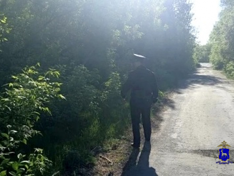 JPG Файл