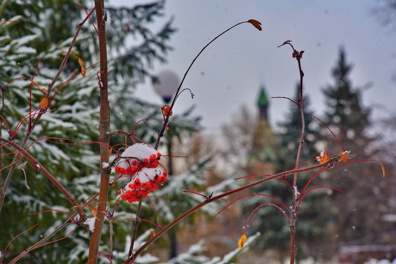 Омск выпал снег. Первый снег. Жду первого снега. Снегопад в Омске. Первый снег в Омске.