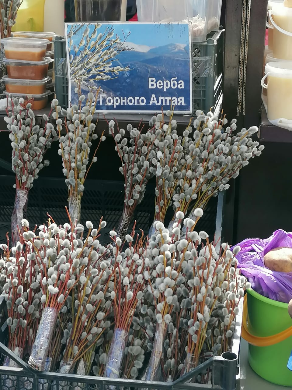 Верба или ива на вербное воскресенье. Верба на вербное воскресенье. Букетик вербы. Верба и свет. Когда можно ставить вербу.