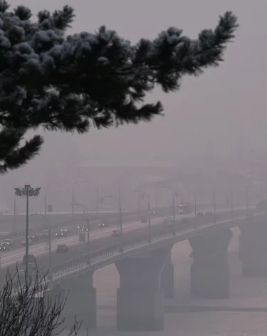 Фото: A42.RU
