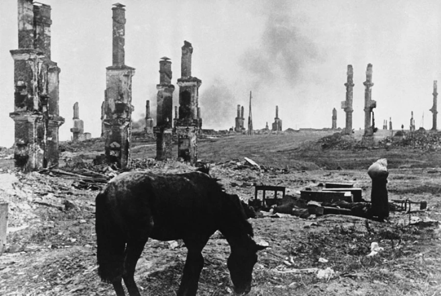 Лошадь среди руин, Сталинград, декабрь 1942 года.