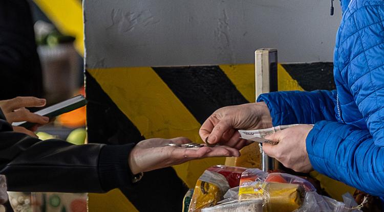 В Белгородской области зафиксировали устойчивый рост зарплат в I полугодии