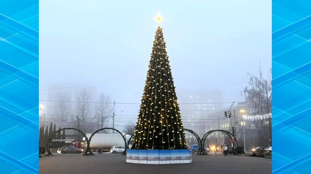 В Брянске впервые установили новогоднюю елку возле цирка