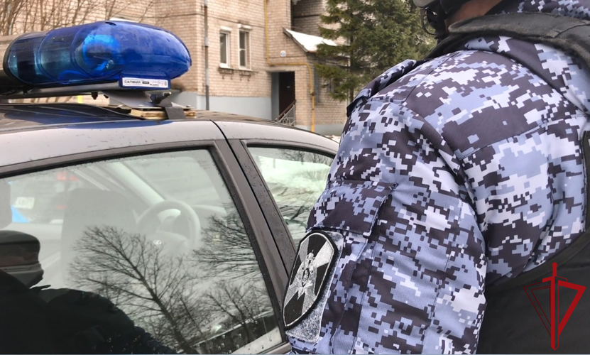 Наряд Росгвардии задержал подозреваемого в краже