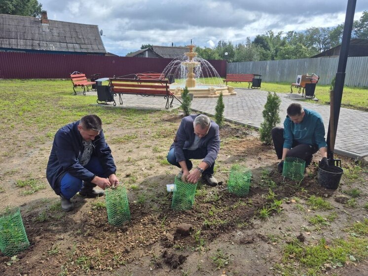 Сквер у фонтана продолжают преображать в Усвятском районе