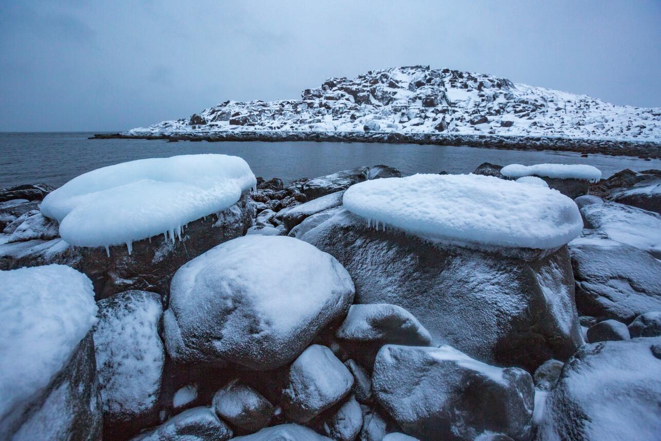 Ледник тоттен. Ледник росса в антарктиде. Лед скале. Лед скале. Лед скале.