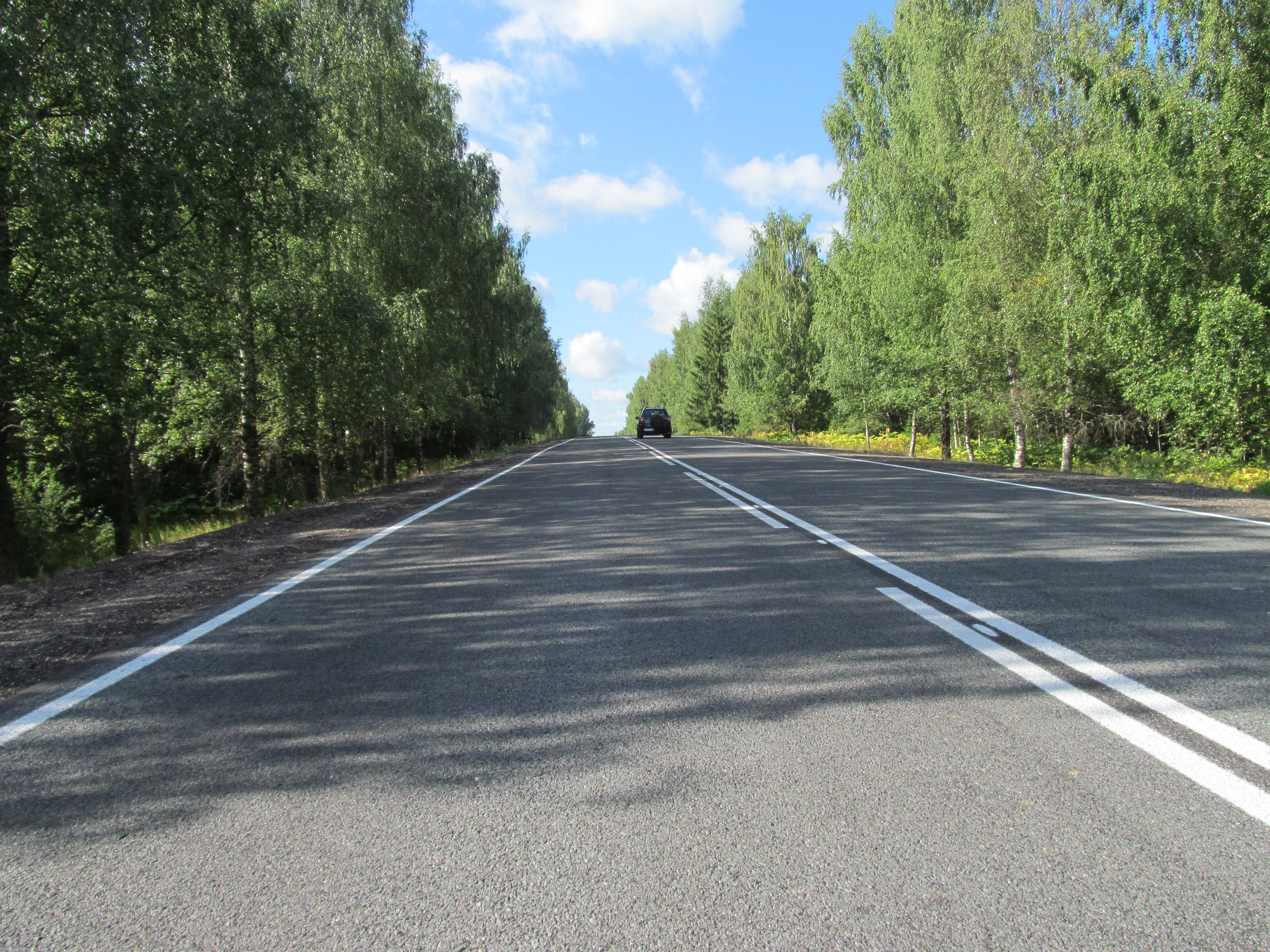 Дорога кострома. Мост через буй.