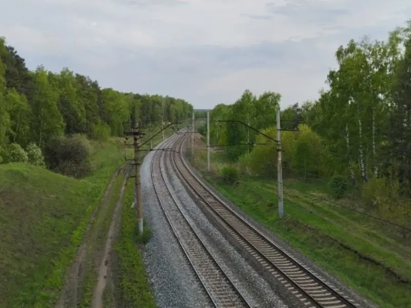 Эксгибициониста снова заметили в лесу Академгородка