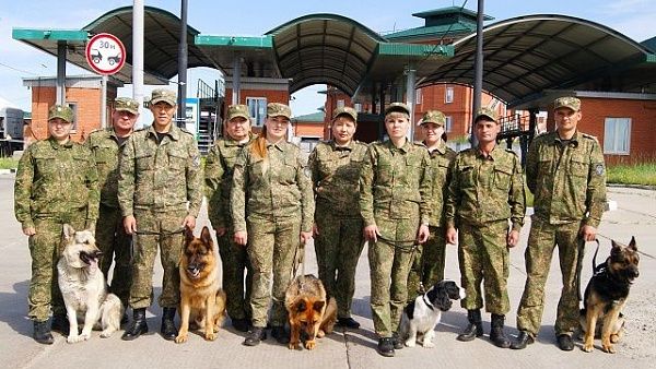 Около ста случаев незаконного перемещения товаров через границу выявили сотрудники Бурятской таможни с помощью служебных собак