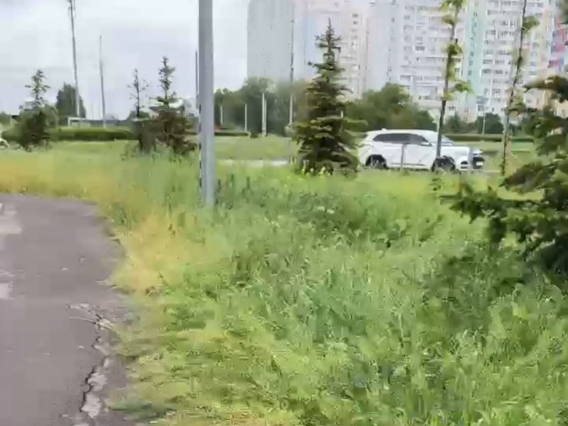В Ростове Левенцовка утопает в сорняках