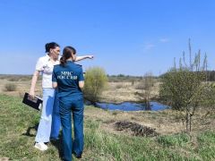  В Новочебоксарске выявили пожароопасные участки и определили места для создания минерализованных полос пожароопасный сезон 