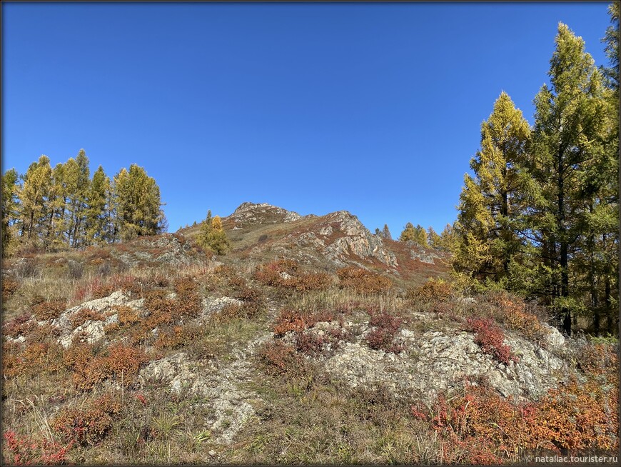 «Осенние краски Уймонской долины». Прощальный день: на гору Маяк с закрытыми глазами, посиделки на берегу Катуни и у костра в ночи 