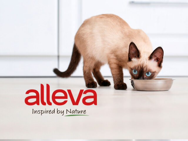 Alleva для кошек - подробнее о здоровом питании для грациозных питомцев
